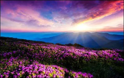 Contre l'élection de qui la Ligue de Heidelberg se bat-elle dès mars 1553 ?