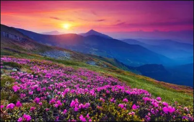 Qui a succédé à Léopold II, décédé début mars 1792 à Vienne ?