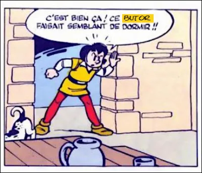 Le "butor" est bien sûr un petit héron (au cri de... taureau !), mais ce mot est employé depuis très longtemps dans un autre sens : lequel ?