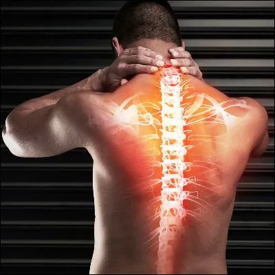 Quel terme d&eacute;signe une d&eacute;viation sinueuse de la colonne vert&eacute;brale dans les trois plans de l�espace ?