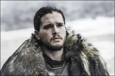 Jon Snow a été un personnage si important dans la culture populaire qu'il a inspiré bien des rappeurs. Voire même trop de rappeurs ! Lequel de ceux-ci est le seul à ne PAS avoir une chanson nommée d'après le fameux "bâtard de Ned Stark" ?