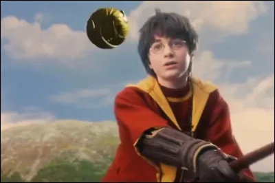 Pratiques-tu le quidditch ?
