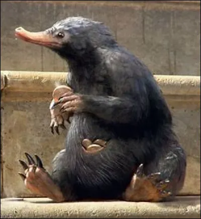 Choisis une image pour Teddy, le Niffleur.