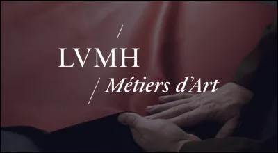 Tu préfères le domaine :