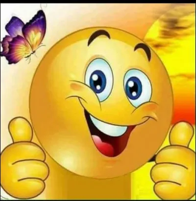 Qui tenait le premier r&ocirc;le dans le film "Un papillon sur l'&eacute;paule" ?