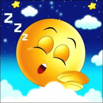 Sur quelles fleurs s'endort-on quand on ne fait plus d'efforts ?