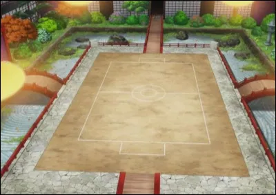 Quels lieux de Pok&eacute;mon pr&eacute;f&egrave;res-tu ?