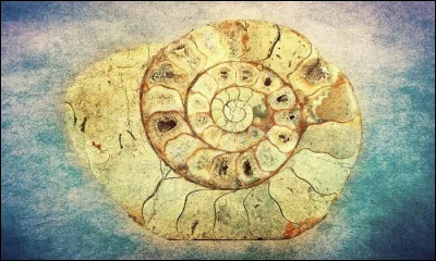 Si j'ai 20 baguettes &agrave; 20 euros, combien co&ucirc;te une baguette ?