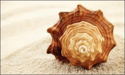 Lorsque l�on multiplie par mille un nombre entier, combien de 0 doit-on ajouter ?