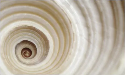 Compl&eacute;tez cette suite : 2, 4, 6, 8, 10, 12...