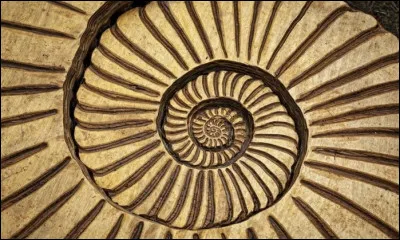 Qu'est-ce qu'un polygone ?