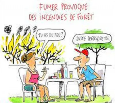 Alors que l'été n'est pas encore terminé, combien d'hectares de forêts sont déjà partis en fumée ?