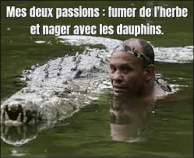 11 au 21 août : 
Durant ces dates se sont déroulés les championnats d'Europe de natation à Rome. En remportant 3 médailles d'or, 8 en argent et 10 en bronze, à quel rang européen la France a-t-elle terminé cette compétition ?