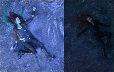 Serais-tu capable de te sacrifier à la place d'un proche ?