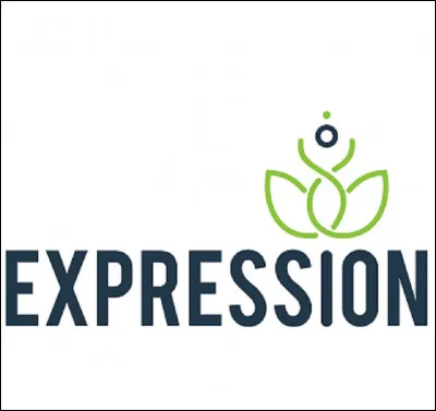 Quelle expression signifie ''abandonner, renoncer à une action par peur de ne pas réussir'' ?