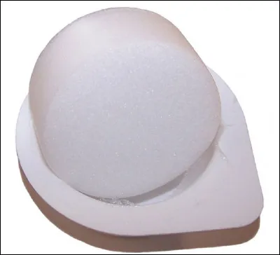 Quel est le nom de ce type d'éponge ?