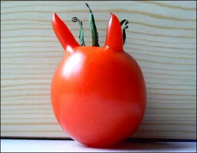 Ta maison doit-elle avoir une forme particulière ?