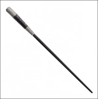 Qui est la/le propriétaire de cette baguette magique ?