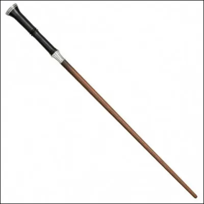 Qui est la/le propriétaire de cette baguette magique ?