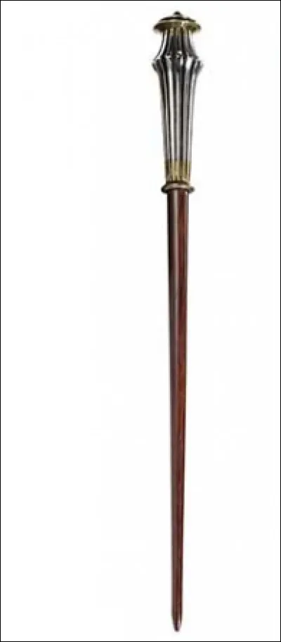 Qui est la/le propriétaire de cette baguette magique ?