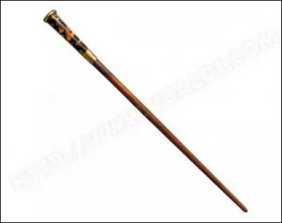 Qui est la/le propriétaire de cette baguette magique ?