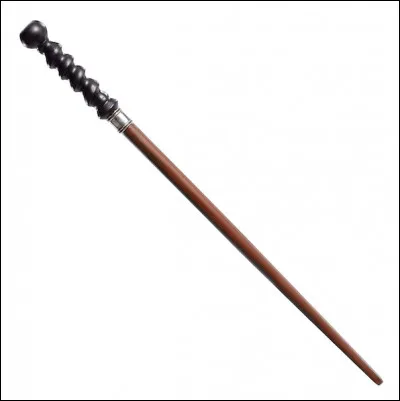 Qui est la/le propriétaire de cette baguette magique ?