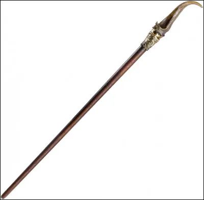 Qui est la/le propriétaire de cette baguette magique ?