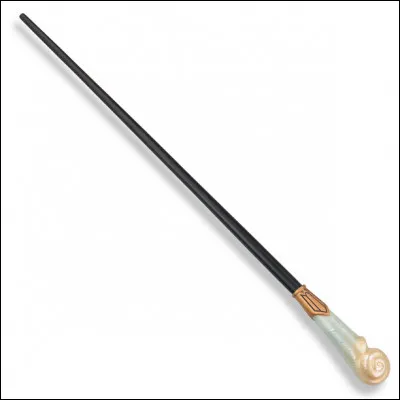 Qui est la/le propriétaire de cette baguette magique ?