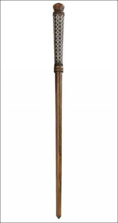 Qui est la/le propriétaire de cette baguette magique ?