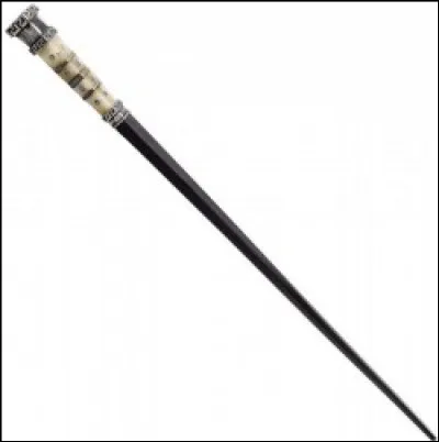 Qui est la/le propriétaire de cette baguette magique ?