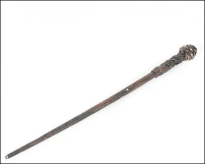 Qui est le/la propriétaire de cette baguette magique ?