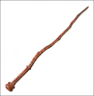 Qui est le/la propriétaire de cette baguette magique ?