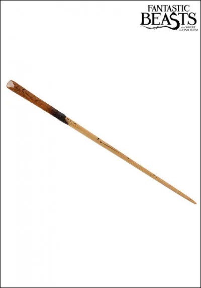 Qui est le/la propriétaire de cette baguette magique ?