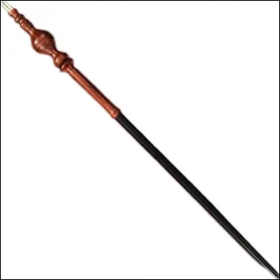 Qui est le/la propriétaire de cette baguette magique ?