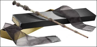 Qui est le/la propriétaire de cette baguette magique ?