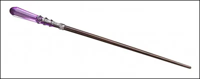 Qui est le/la propriétaire de cette baguette magique ?