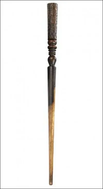 Qui est la/le propriétaire de cette baguette magique ?