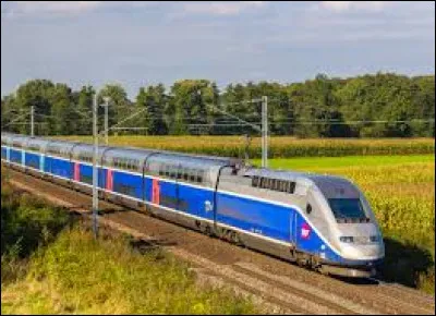 Ce moyen de transport est un train.