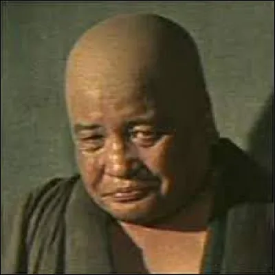 Quel est le nom de cet acteur ?