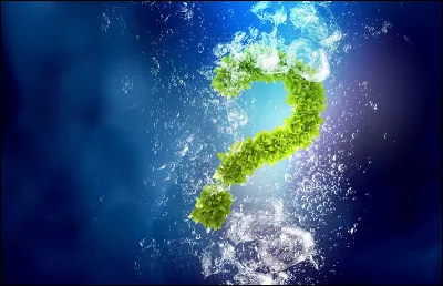 J'ai une robe noir pommelé à la crinière aux reflets dorés et argentés, qui suis-je ?