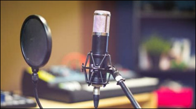 Quel artiste préfères-tu ?