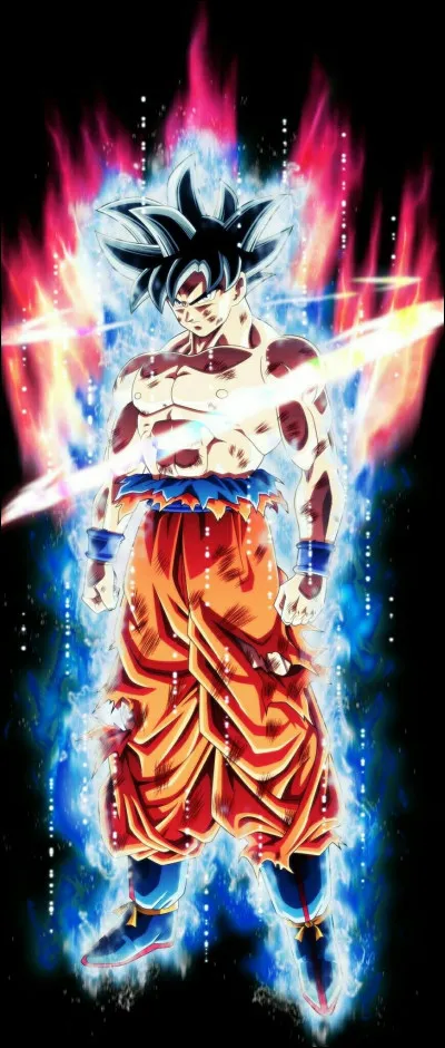 Comment s'appelle cette forme de Goku ?