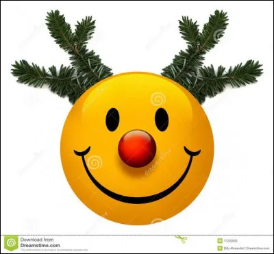 Lequel n'est pas un renne du père Noël ?