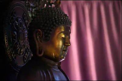 Dans lequel de ces pays célèbre-t-on majoritairement cette fête ?