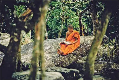 En quelle année Jitchū organise-t-il la première représentation de cette fête ?