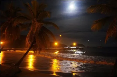 Quel écrivain n'est pas né aux Antilles françaises ?