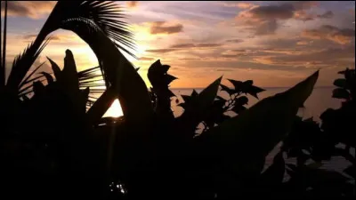 Quel acteur voit-on dans le film "Case départ" ?