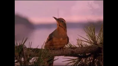 De quelle série s'agit-il ?