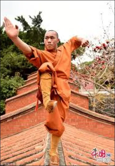 Combien y a-t-il de Shaolins jouables en tout dans la saga ?