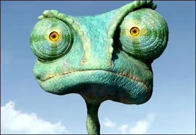 Quelle est la particularité des yeux du caméléon ?